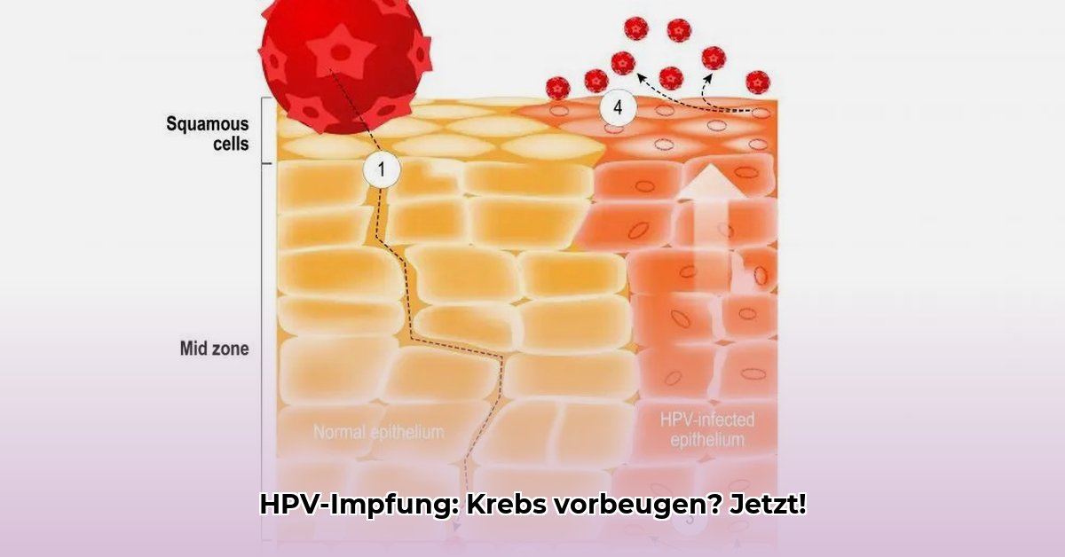 hpv-impfung-erwachsene